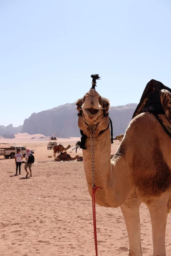 Wadirum Momoo วาดิรัม ภายนอก รูปภาพ
